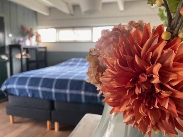 Hank Holiday Cottage De Garage Inn מראה חיצוני תמונה